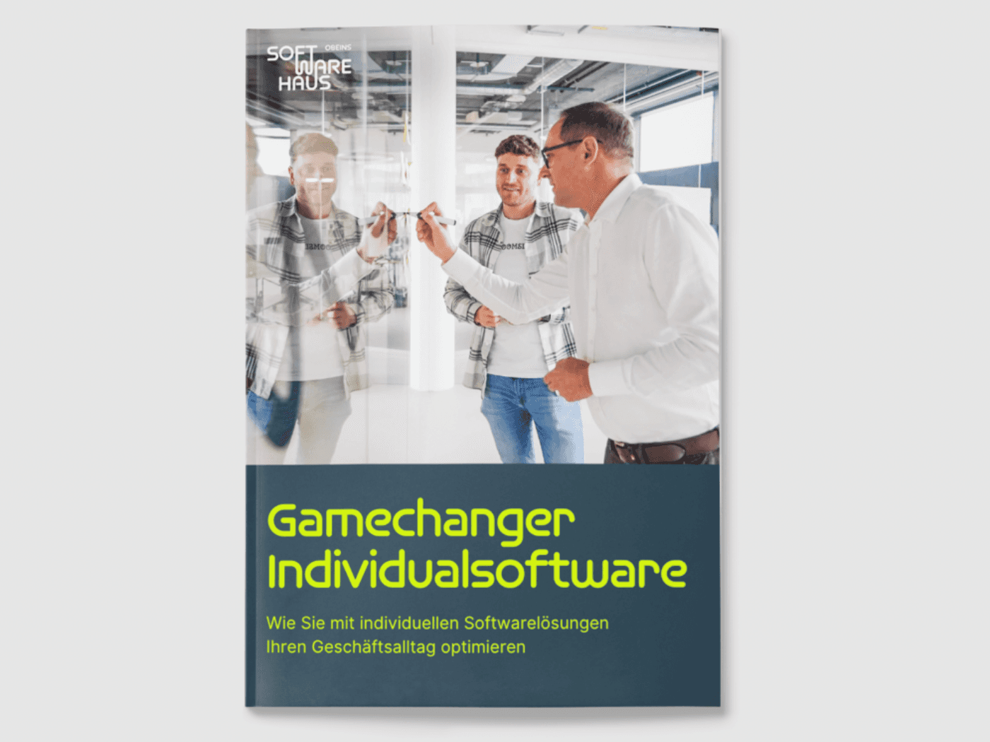 Whitepaper zum Thema Individualsoftware