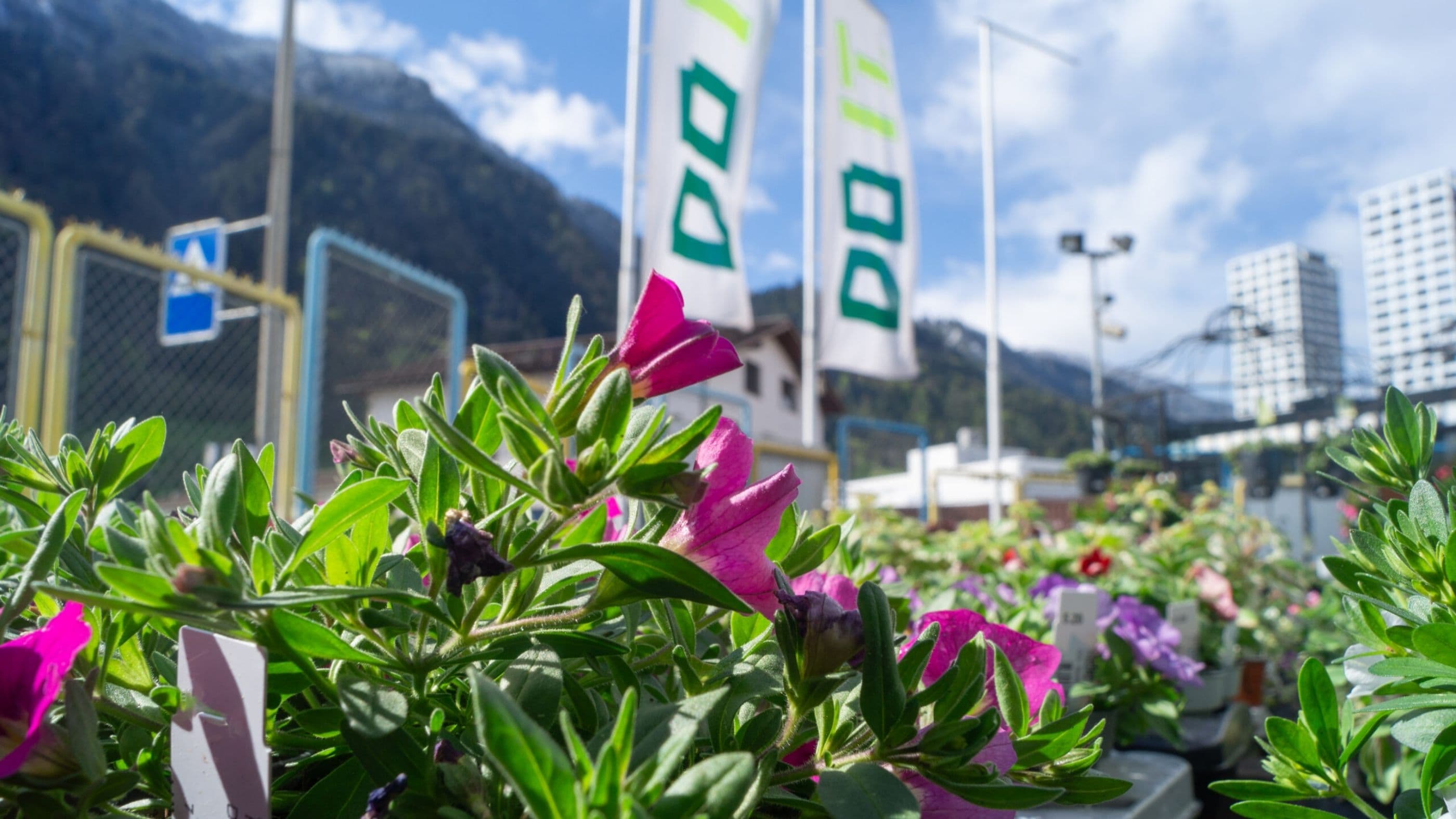 Blumenmarkt im DO IT Chur