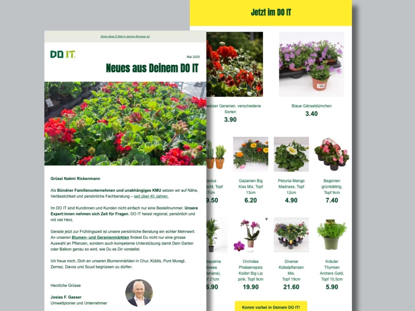 Newsletter zum Blumenmarkt